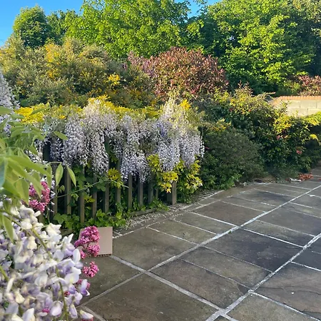 Peaceful With Garden & Creek - New Cozy Dublin