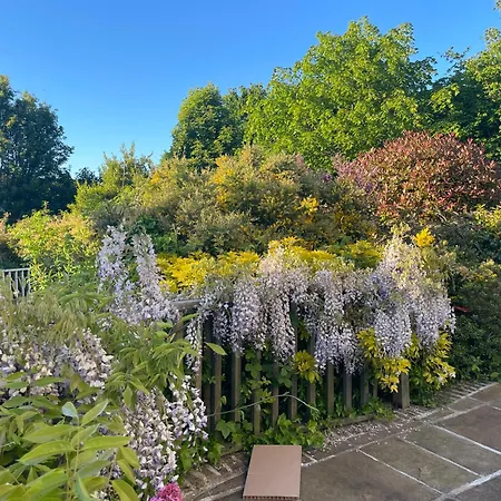 Peaceful With Garden & Creek - New Cozy دبلن