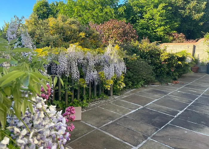 Peaceful With Garden & Creek - New Cozy Дублин