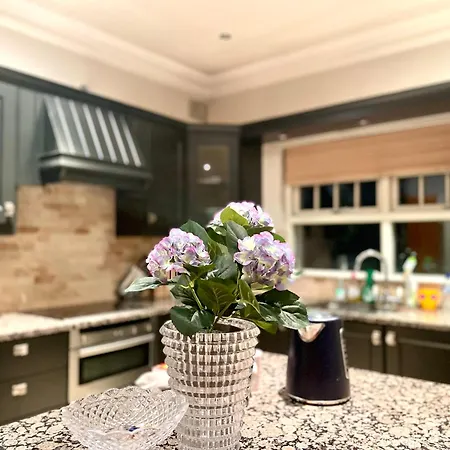 Peaceful With Garden & Creek - New Cozy Dublin